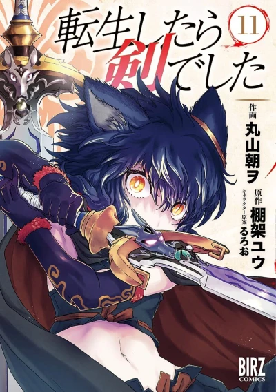 Cover of Vol. 11