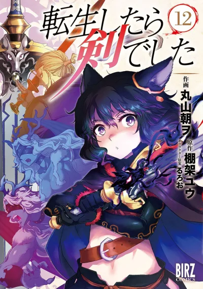 Cover of Vol. 12
