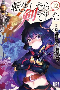 Vol. 12