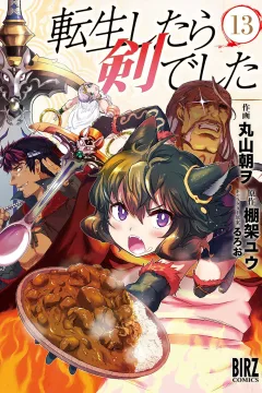 Vol. 13