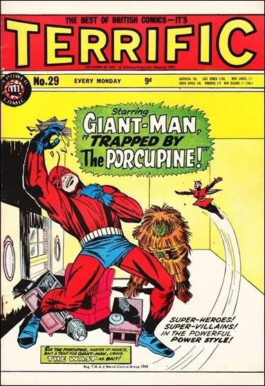 Cover of Issue #29
