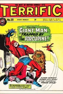Issue #29