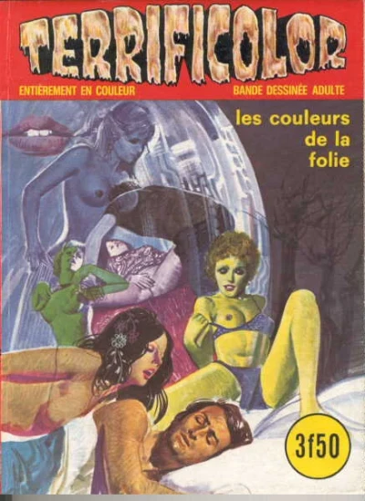 Cover of LES COULEURS DE LA FOLIE