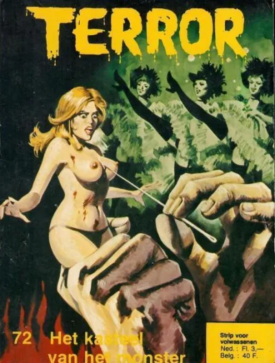 Cover of Het kasteel van het monster