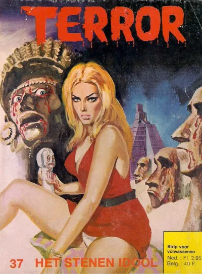 Cover of Het stenen idool