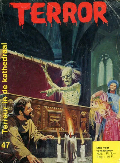 Cover of Terreur in de kathedraal