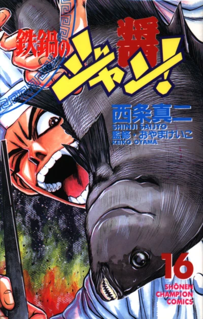 Cover of Vol. 16