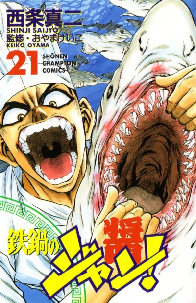 Cover of Vol. 21