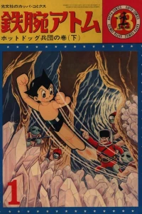 Vol. 13