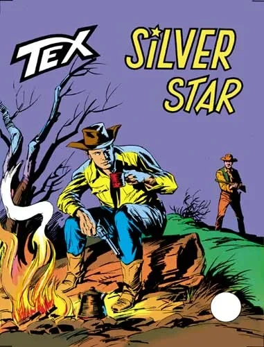 Cover of Silver Star