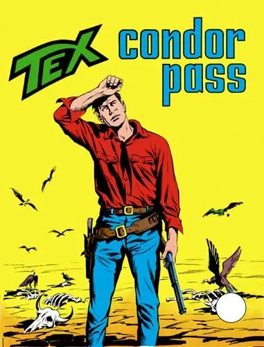 Cover of Condor Pass