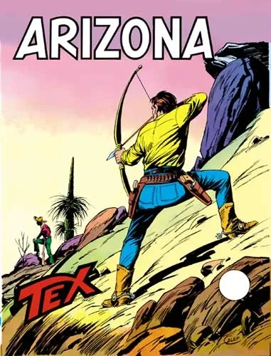 Cover of Arizona