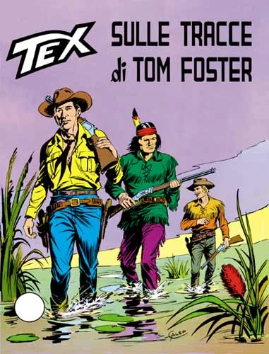 Cover of Sulle Tracce di Tom Foster