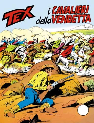 Cover of I Cavalieri della Vendetta