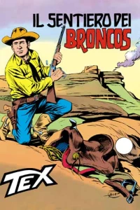 Il Sentiero dei Broncos