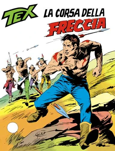 Cover of La Corsa della Freccia