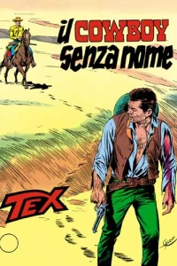 Il Cowboy Senza Nome