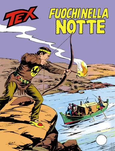 Cover of Fuochi nella Notte