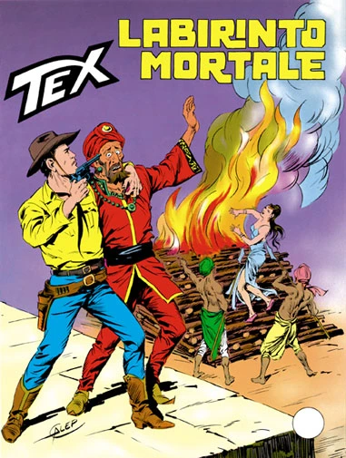 Cover of Labirinto Mortale