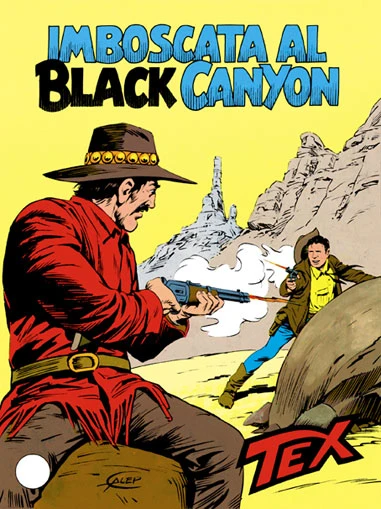 Cover of Imboscata al Black Canyon