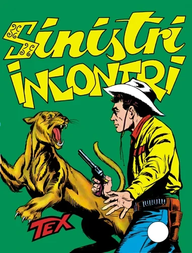 Cover of Sinistri Incontri