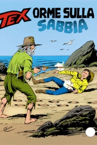 Orme Sulla Sabbia