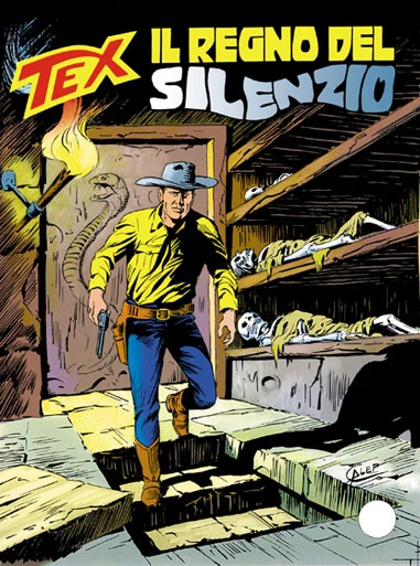 Cover of Il Regno del Silenzio