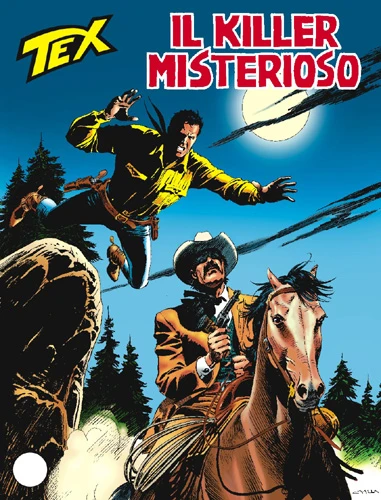 Cover of Il Killer Misterioso