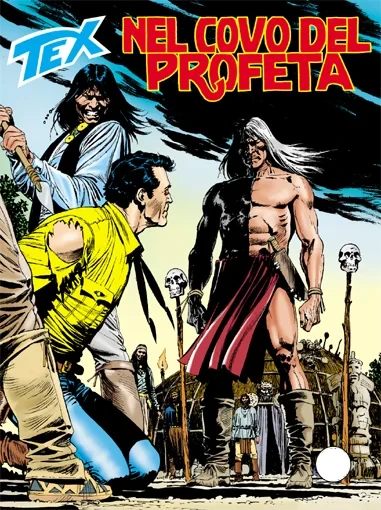 Cover of Nel Covo del Profeta
