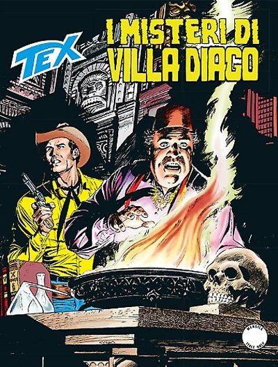 Cover of I misteri di villa Diago