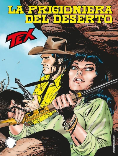 Cover of La prigioniera del deserto