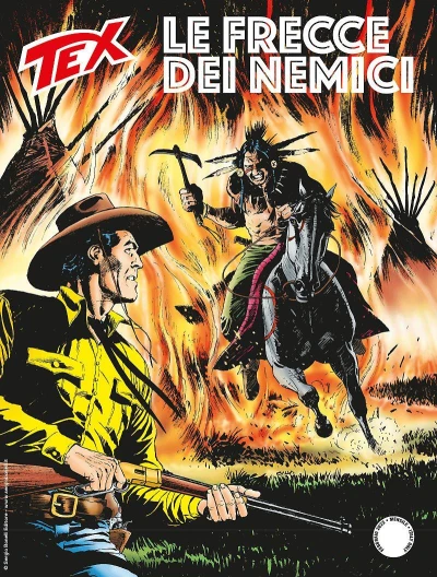 Cover of Le frecce dei nemici