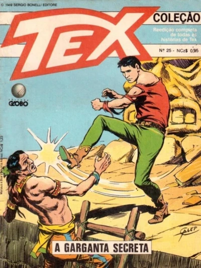 Cover of A garganta secreta