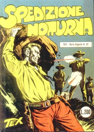 Cover of Spedizione Notturna