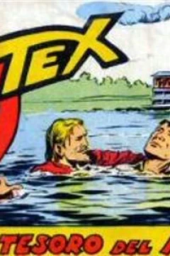 Il Tesoro del Pirata