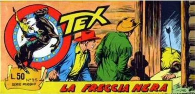 Cover of La Freccia Nera