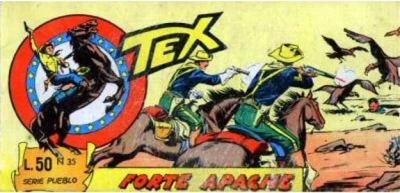 Cover of Forte Apache