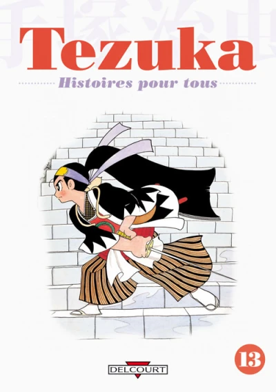 Cover of Tome 13