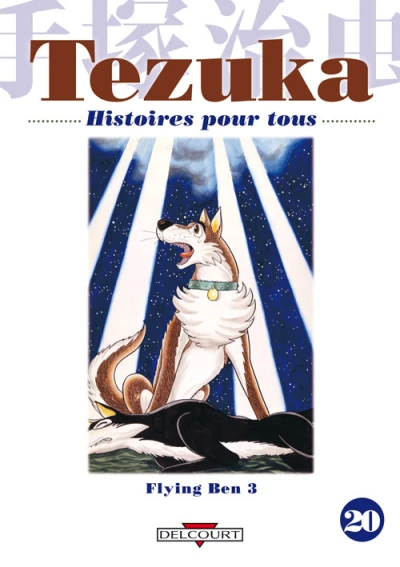 Cover of Tome 20