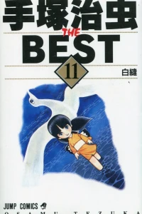 Vol. 11