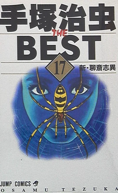 Cover of Vol. 17