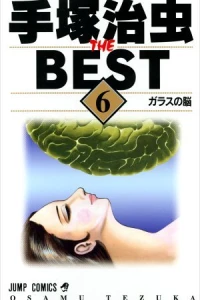 Vol. 6