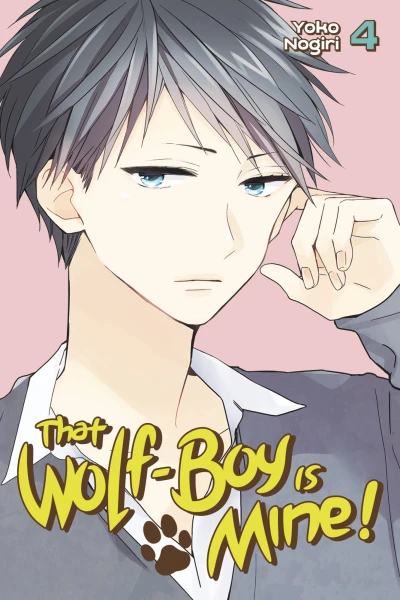 Cover of Vol. 4