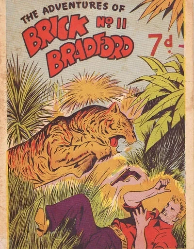 Cover of Issue #11