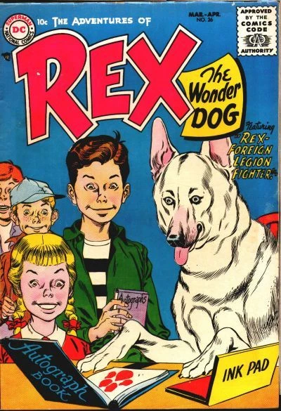 Cover of Rex Foreign Legion Fighters