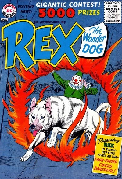 Cover of Four Footed Circus Daredevil