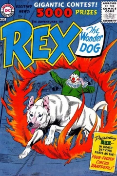 Four Footed Circus Daredevil