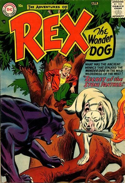 Cover of Secret of the Stone Panther