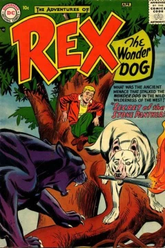 Secret of the Stone Panther
