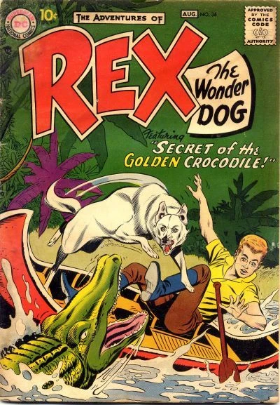 Cover of Secret of the Golden Crocodile